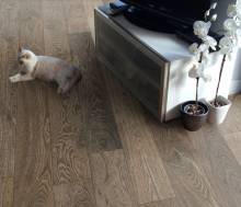 Nos prestations sur le secteur de Saint-Jean-de-Luz