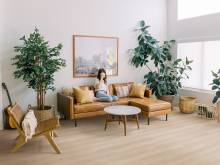 Notre zone d'activité pour ce service Plateau en bois massif sur mesure